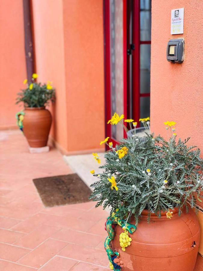 Regina Del Mare Appart hôtel Tirrenia